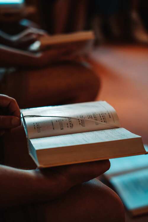 pixabay.com/Sebbi